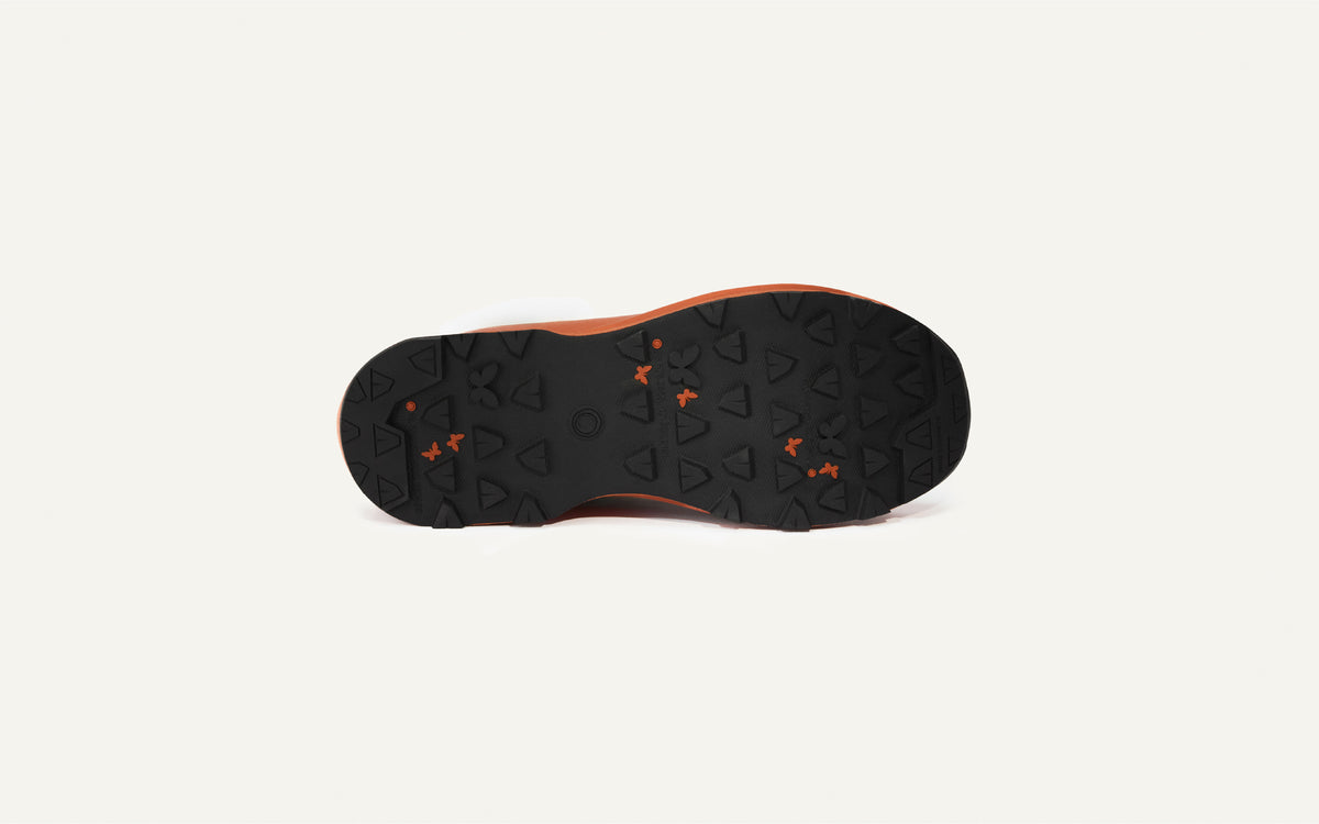 MONARCH ORANGE